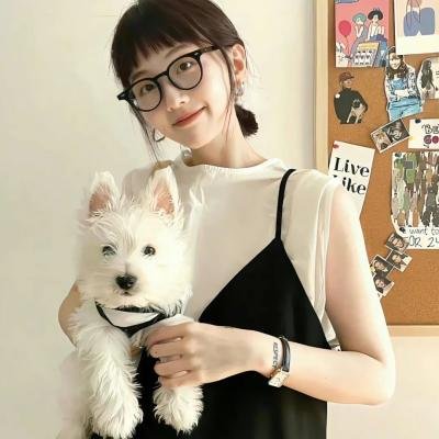 解码游戏